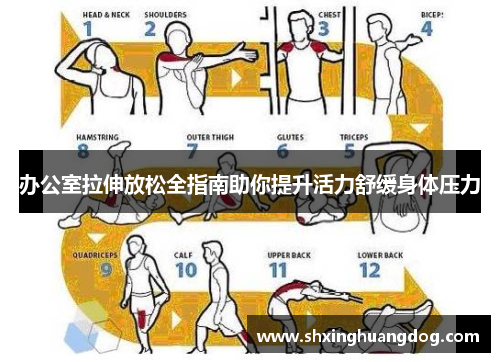 办公室拉伸放松全指南助你提升活力舒缓身体压力