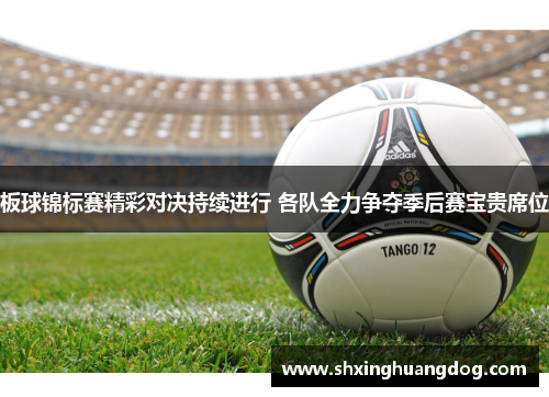 板球锦标赛精彩对决持续进行 各队全力争夺季后赛宝贵席位