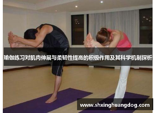 瑜伽练习对肌肉伸展与柔韧性提高的积极作用及其科学机制探析