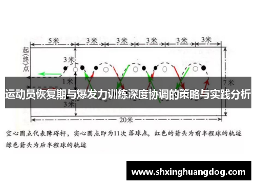 运动员恢复期与爆发力训练深度协调的策略与实践分析