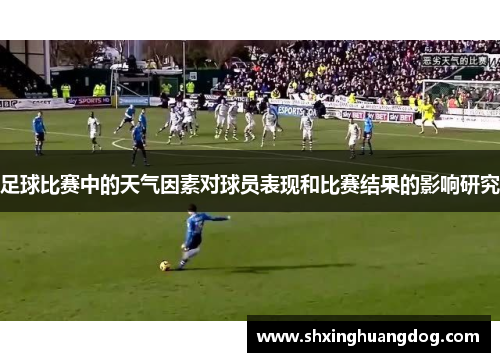 足球比赛中的天气因素对球员表现和比赛结果的影响研究