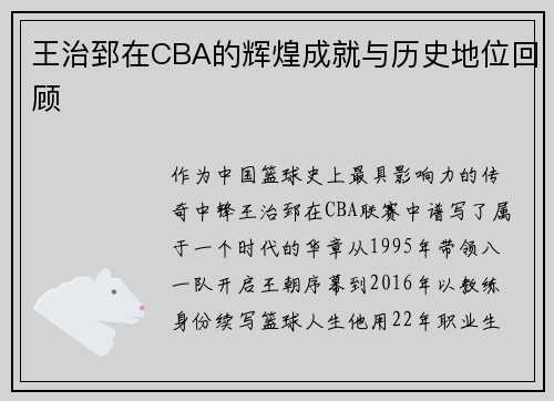 王治郅在CBA的辉煌成就与历史地位回顾
